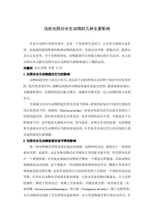 光照对水生动物的影响