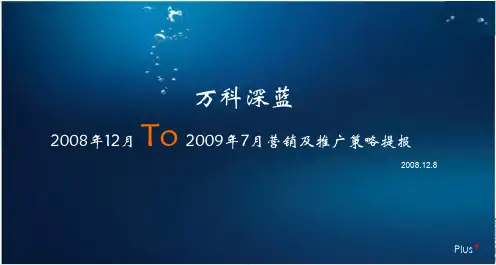 万科蓝山项目营销推广策略提报_57PPT_博加广告