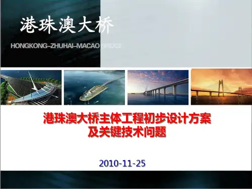 港珠澳大桥主体工程初步设计方案及重大问题汇报45028精品PPT课件