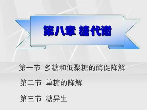 08第八章糖代谢