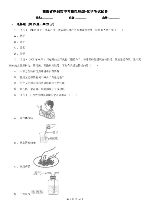 湖南省株洲市中考模拟理综-化学考试试卷