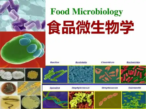 【优选推荐】食品微生物学第一章-绪论精品课件