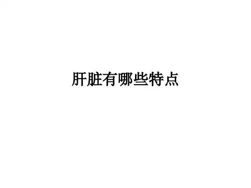 肝脏有哪些特点