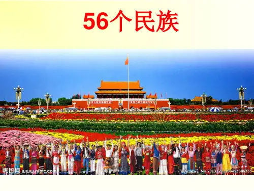 娃哈哈  课件