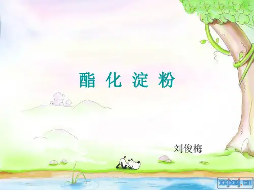 酯化淀粉