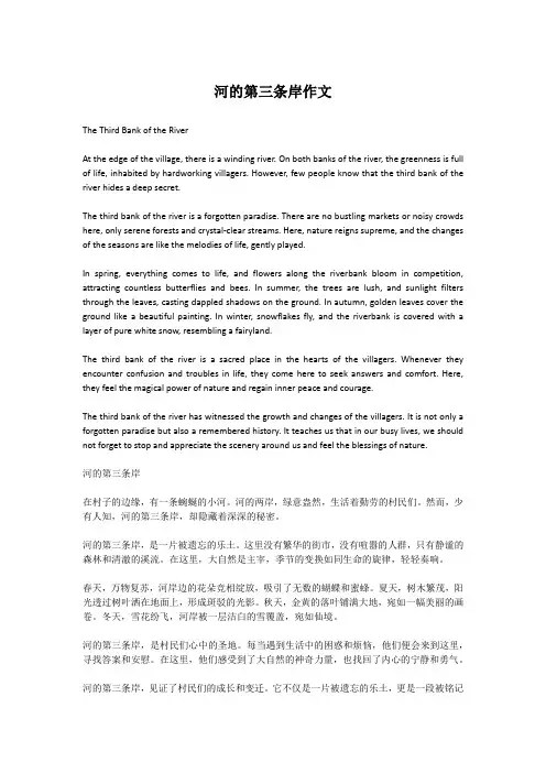 河的第三条岸作文