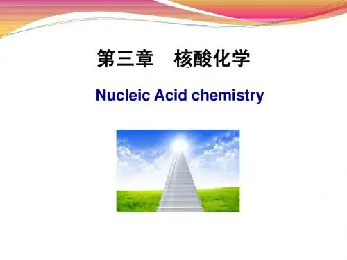 第三章 核酸化学