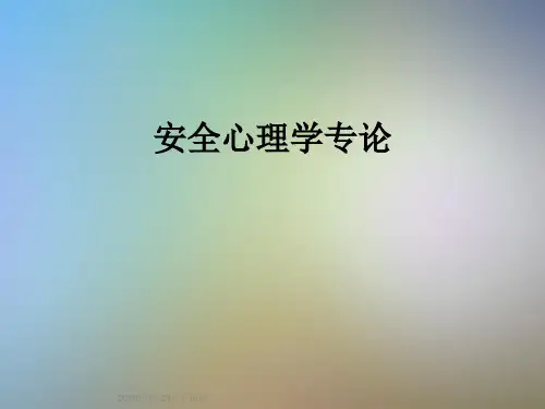 安全心理学专论