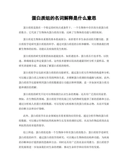蛋白质组的名词解释是什么意思