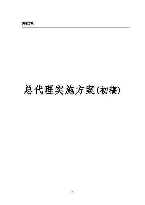 总代理实施方案初稿(1)