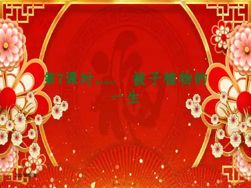 中考生物 第三单元 生物圈中的绿色植物 第7课时 被子植物的一生课件