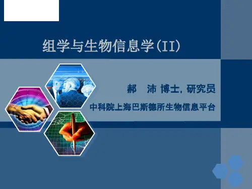 生物信息学概论-组学与生物信息学II 共107页