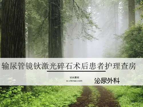 输尿管镜钬激光碎石术后患者护理查房PPT课件