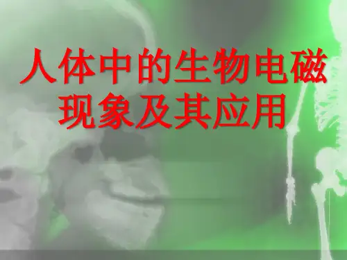 人体中的生物电、磁现象及其应用 大学物理