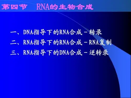 天津大学,生物化学,课件,ppt 第十二章(4-5节)-1.