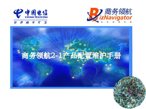 电信定制网关-配置与维护手册