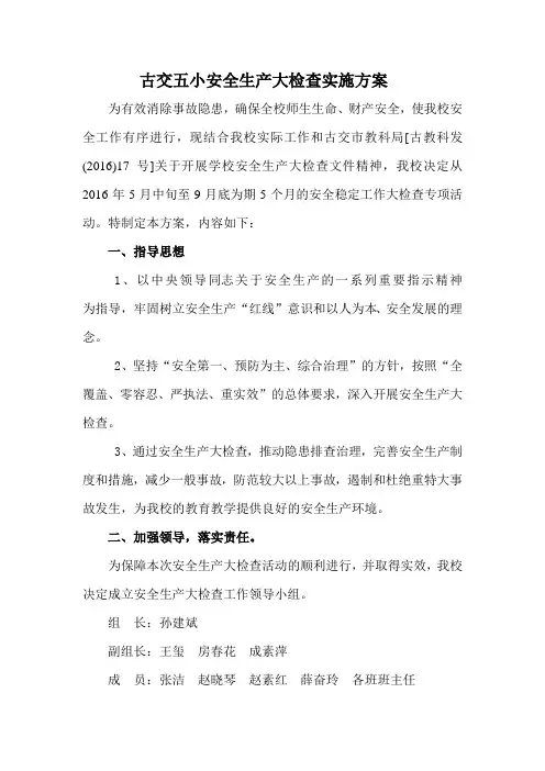 五小安全生产大检查工作方案