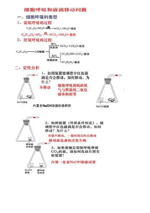 高中生物液滴移动问题