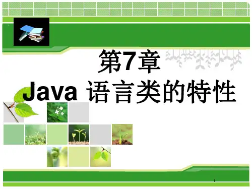 第7章 Java语言类的特性(第4版)
