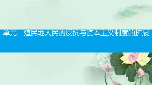 2019春九年级历史下册第一单元殖民地人民的反抗与资本主义制度的扩展第1课殖民地人民的反抗斗争课件新人教