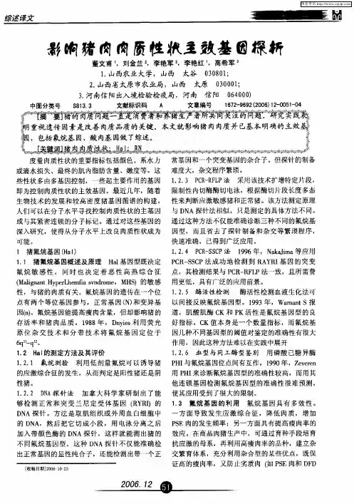 影响猪肉肉质性状主效基因探析