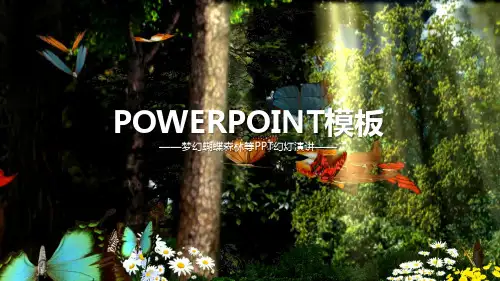 蝴蝶系列精美PPT模板 (18)