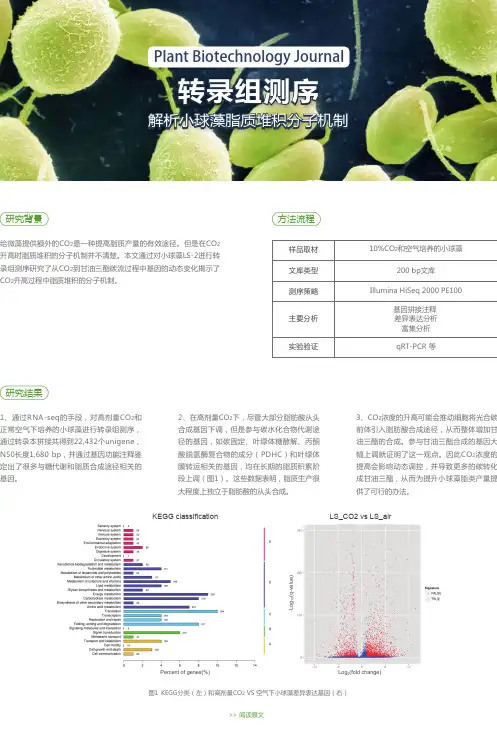 基因讲堂- 小球藻转录组