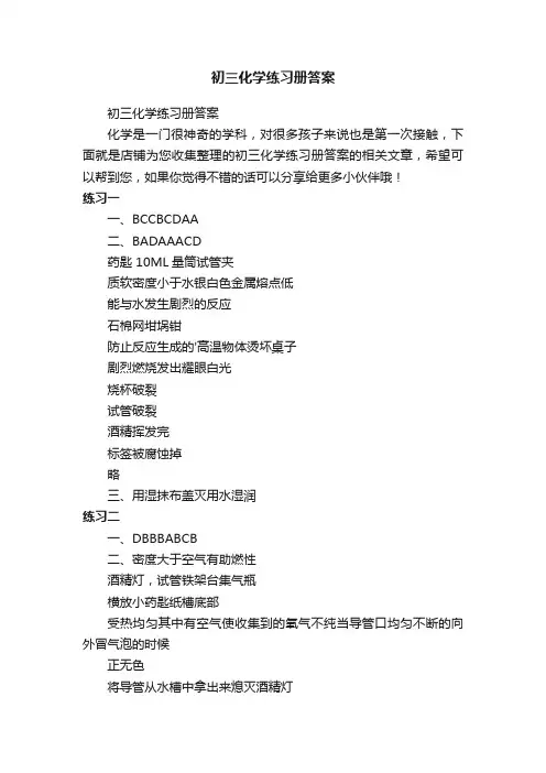 初三化学练习册答案