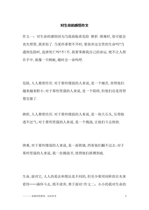 对生命的感悟作文