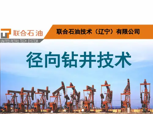 径向钻井技术简介