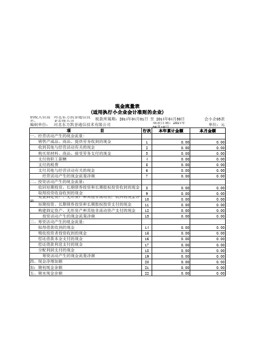 现金流量表(适用于执行小企业会计准则财务报表)