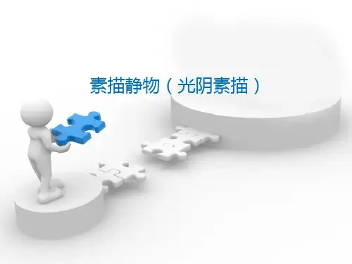 静物光影素描