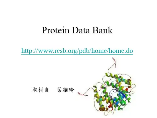 PDB数据库
