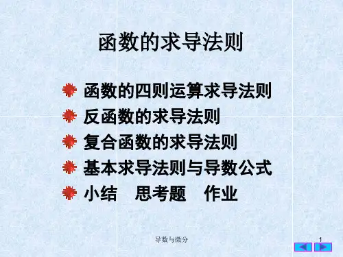 3-2,3,4导数和微分运算法则_7481_975_20101018100901