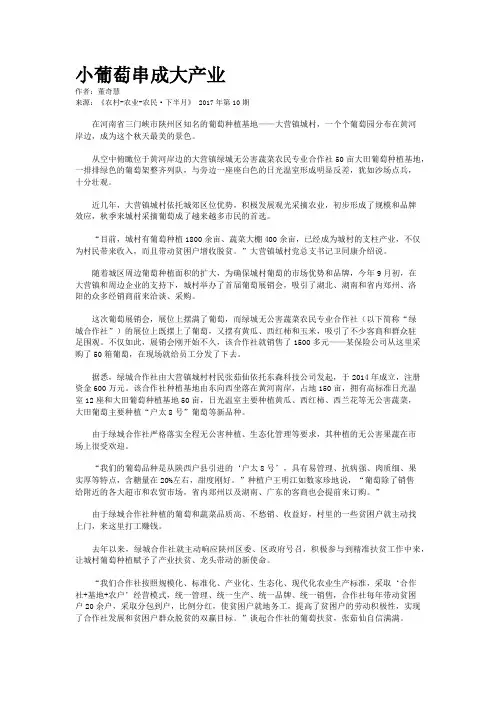 小葡萄串成大产业