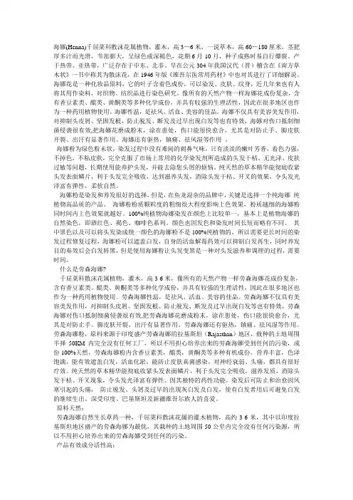 海娜(Henna)-Microsoft Word