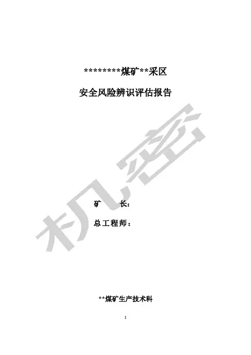 采区安全风险评估报告