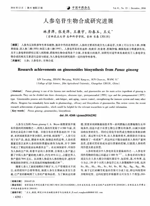 人参皂苷生物合成研究进展