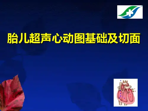 胎儿超声心动图基础及切面