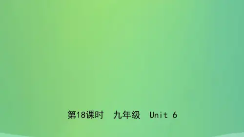 河北省2021年中考英语总复习第18课时九全Unit6课件冀教版