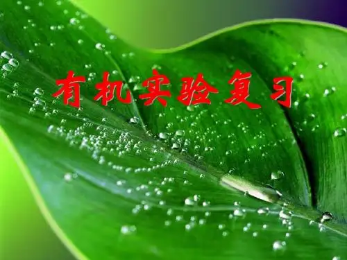 有机实验复习