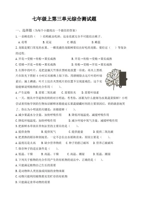 生物：第3单元生物圈中的绿色植物综合测试(人教版七年级上)