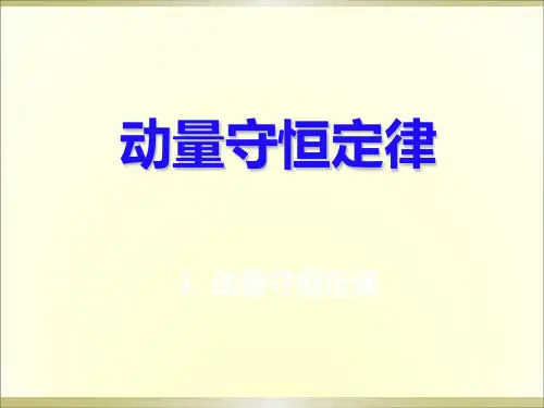 1动量守恒定律
