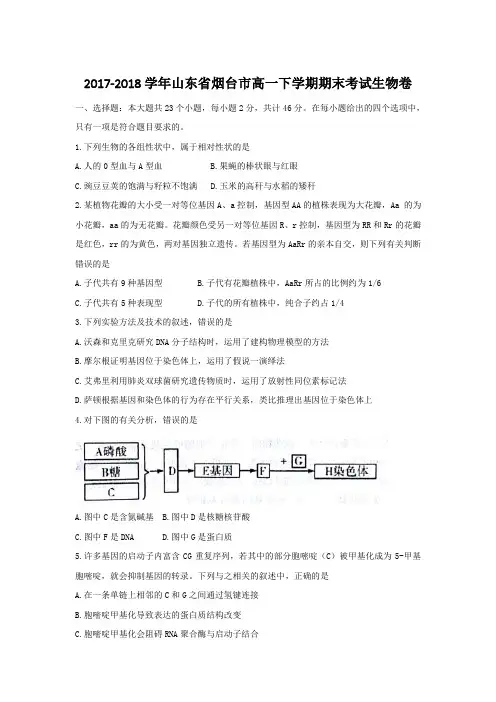 2017-2018学年山东省烟台市高一下学期期末考试生物卷
