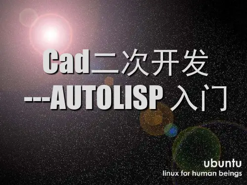 CAD二次开发(LISP)