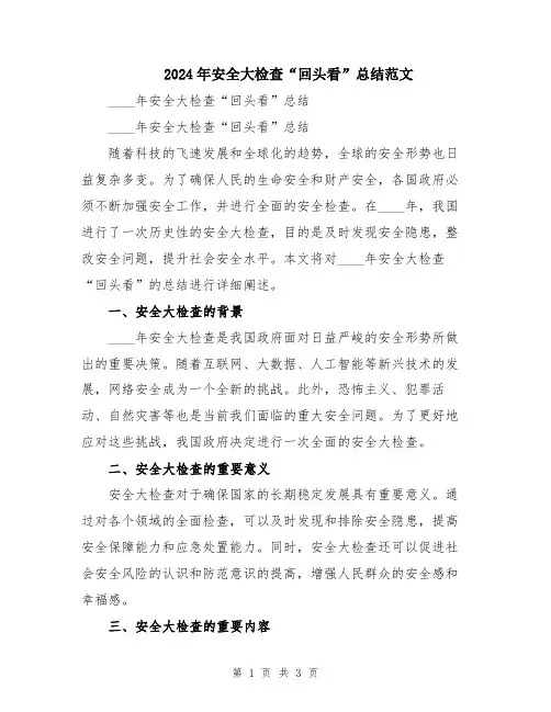 2024年安全大检查“回头看”总结范文