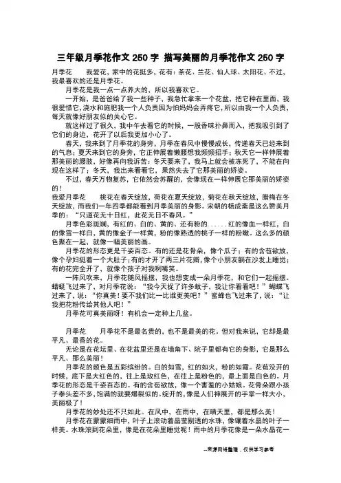 三年级月季花作文250字 描写美丽的月季花作文250字_作文250字