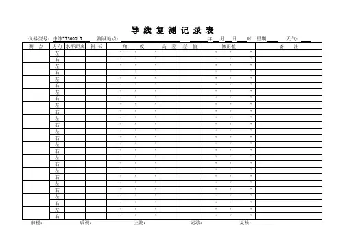 坐标复测记录表