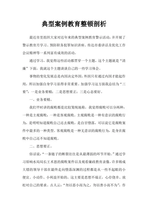 典型案例教育整顿剖析