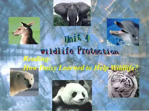 人教版高中英语必修2 Unit 4 Wildlife Protection说课PPT